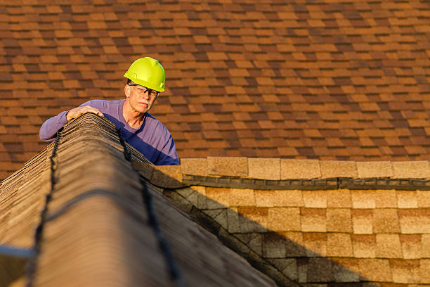 Roof Gutter Cleaning in Stockton, MO
