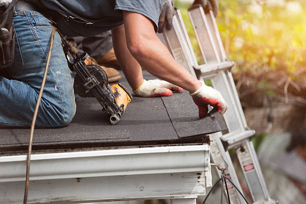 Best Roof Gutter Cleaning  in Stockton, MO